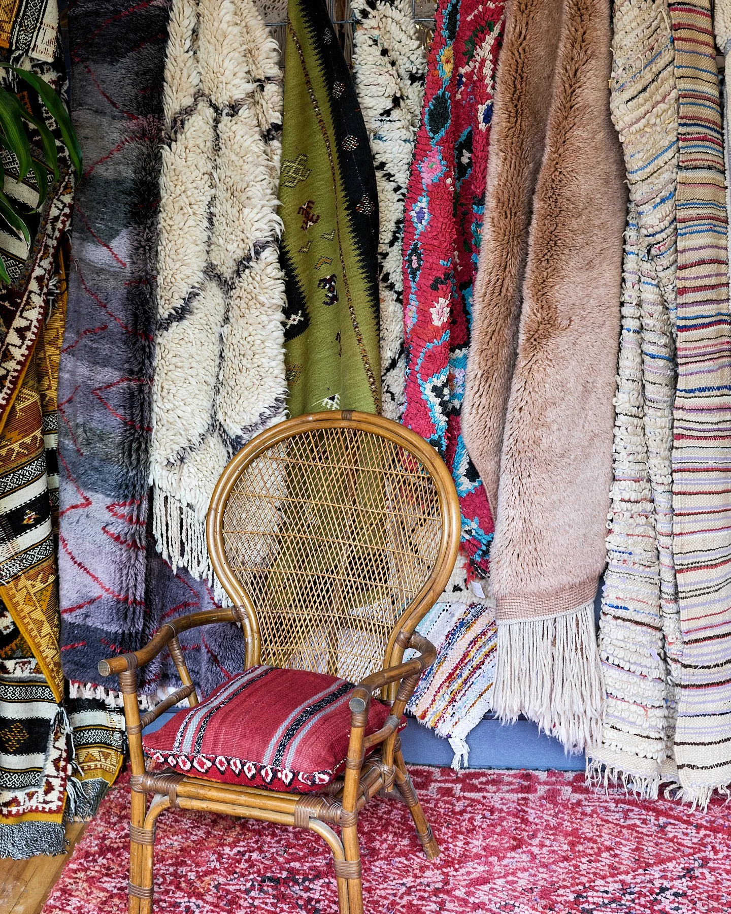 SOCIALMEDIA SIZEDCarol Spags Photography 62.jpg