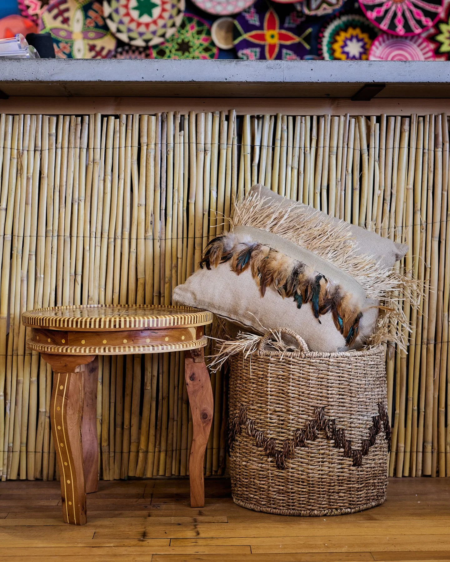 SOCIALMEDIA SIZEDCarol Spags Photography 67.jpg