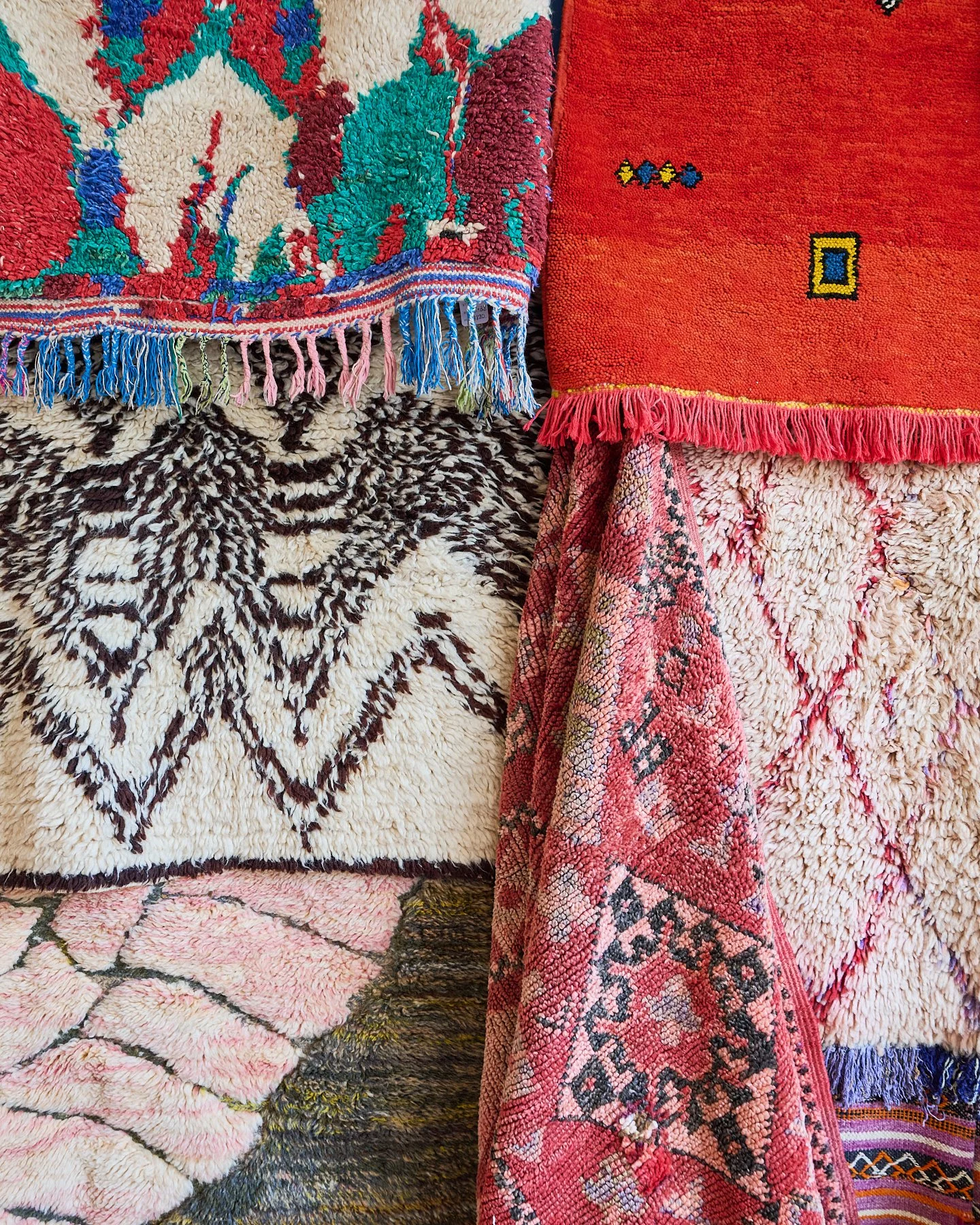 SOCIALMEDIA SIZEDCarol Spags Photography 46.jpg