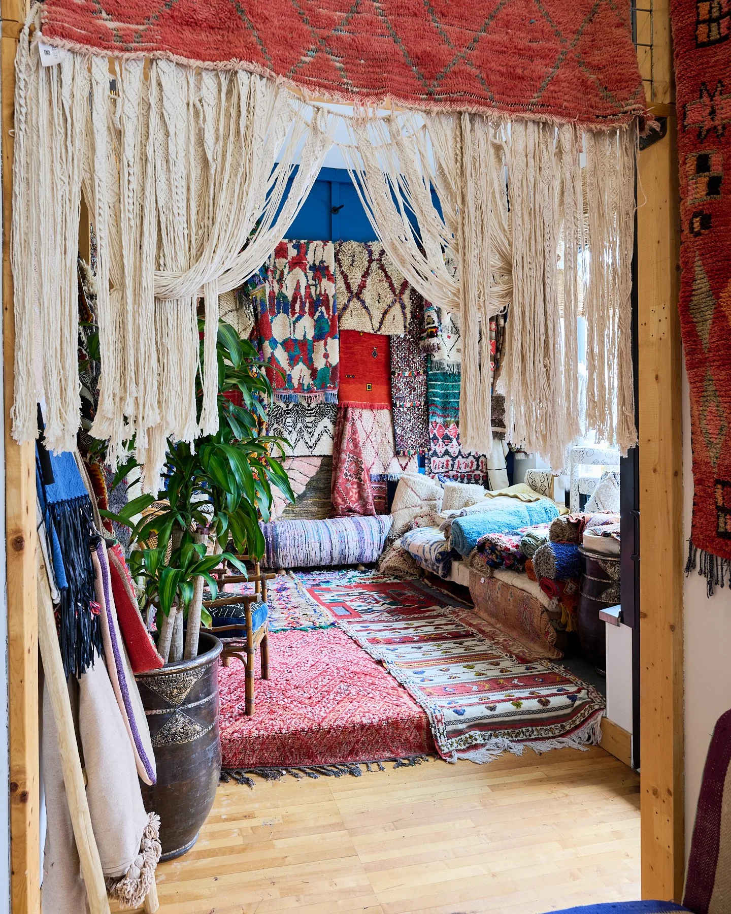 SOCIALMEDIA SIZEDCarol Spags Photography 43.jpg