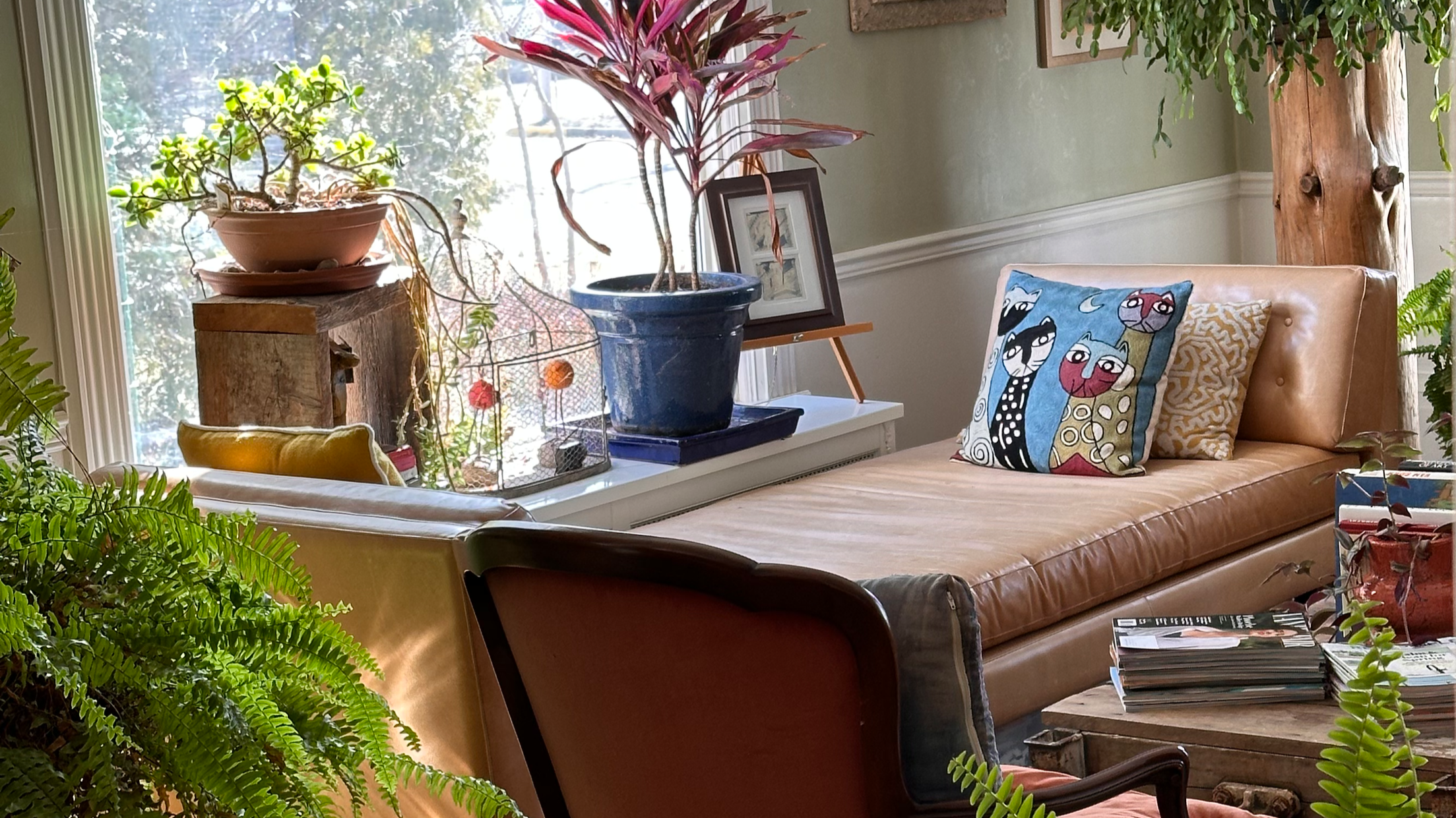 THE HOUSE ON PARK – Turning a market gap into a growing hospitality brand. – Janet saw a historic Greek Revival home in Berlin's historic district and built the lodging the town lacked — "The Northern Southern Mansion," NYC-inspired rooms, and a grow