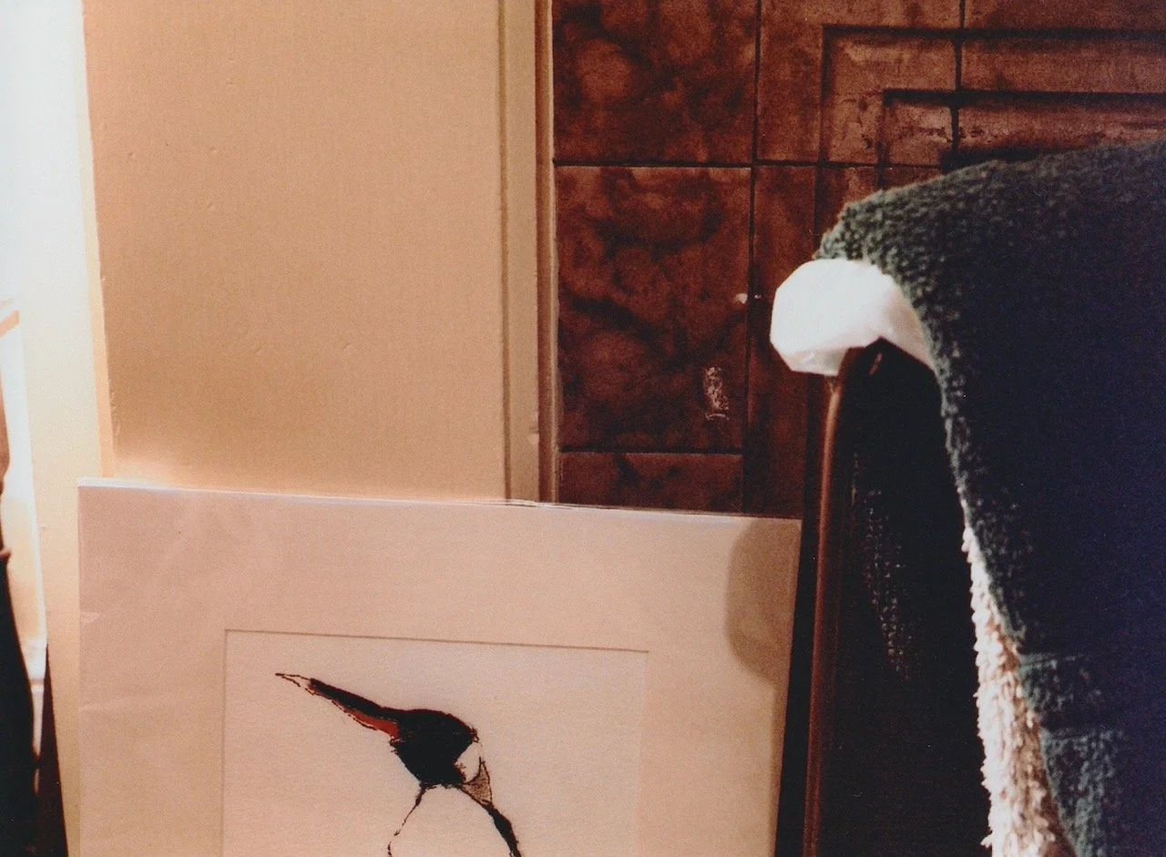 A penguin painting, still in its plastic wrap - mum loved penguins, the towel for the bedbaths, and those hideous fireplace tiles