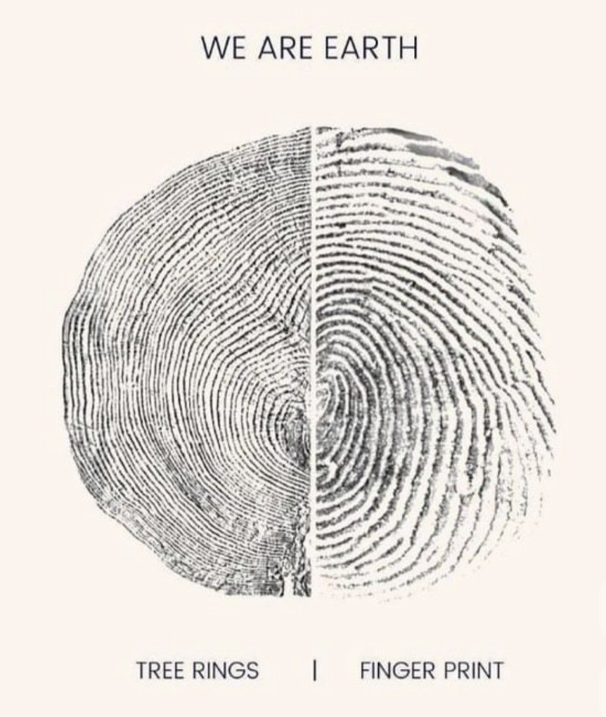 Image 1-27-26 at 11.01 AM.png