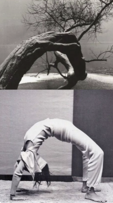 Image 1-27-26 at 11.07 AM.png