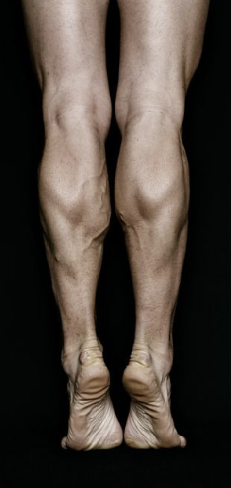 Image 1-27-26 at 11.09 AM.png