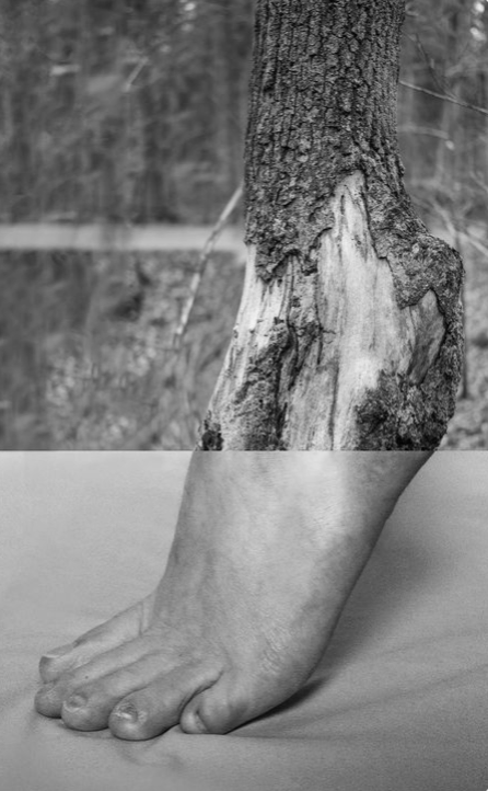 Image 1-27-26 at 11.07 AM.png