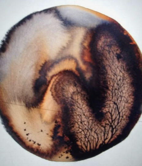 Image 1-27-26 at 11.13 AM (1).png