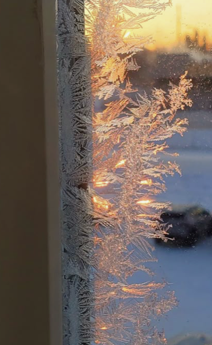 Image 1-27-26 at 11.11 AM (1).png