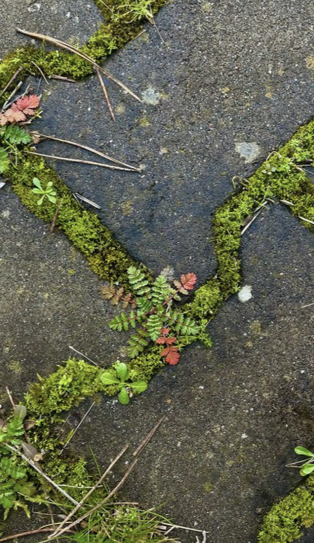 Image 3-2-26 at 9.48 AM (3).png