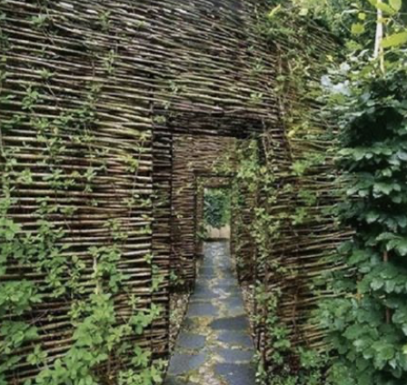 Image 3-2-26 at 9.49 AM.png