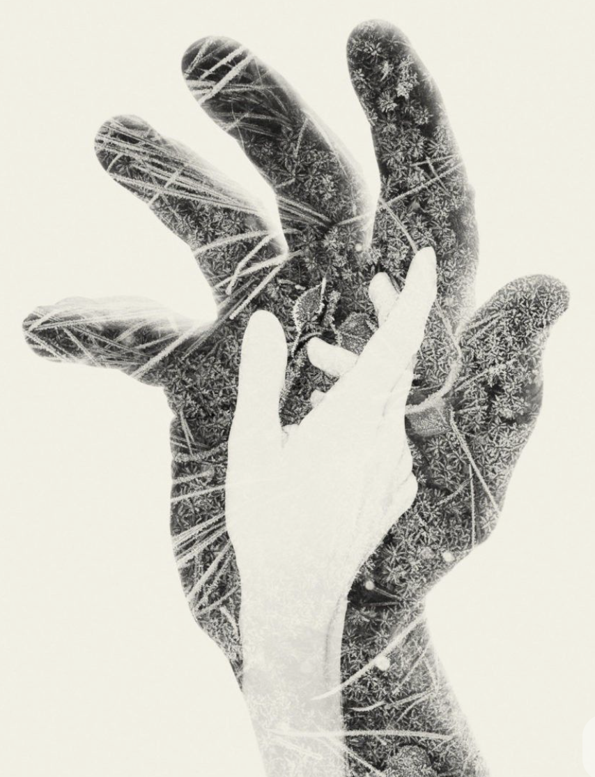 Image 1-27-26 at 10.59 AM.png