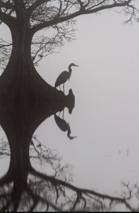 Image 3-2-26 at 9.52 AM (2).png