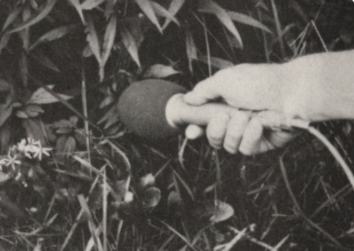 Image 1-27-26 at 11.08 AM.png