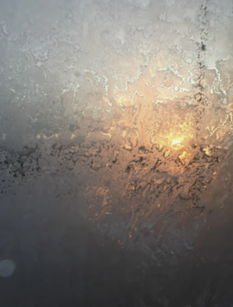 Image 1-27-26 at 11.11 AM.png