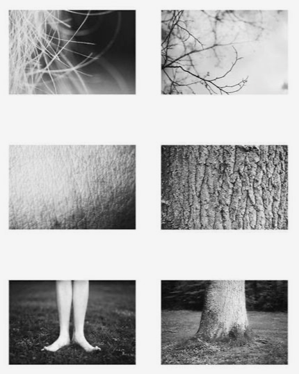 Image 1-27-26 at 10.58 AM.png