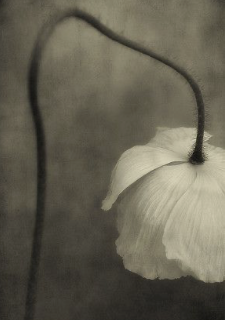 Image 3-2-26 at 9.47 AM (1).png