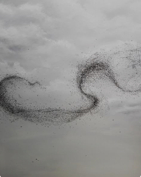 Image 3-2-26 at 9.50 AM (2).png