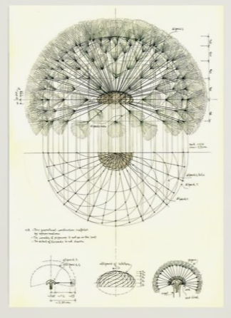 Image 3-2-26 at 9.48 AM (1).png