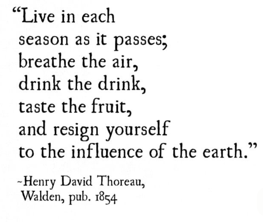 Image 1-27-26 at 11.06 AM.png