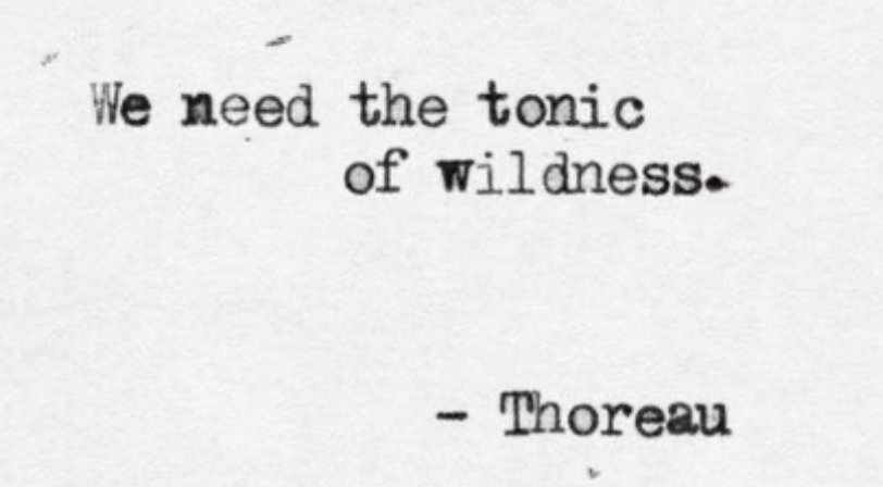 Image 1-27-26 at 11.06 AM (1).png