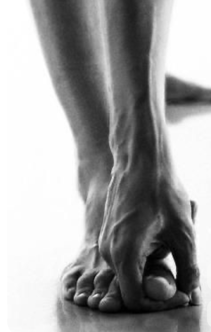 Image 1-27-26 at 10.56 AM.png