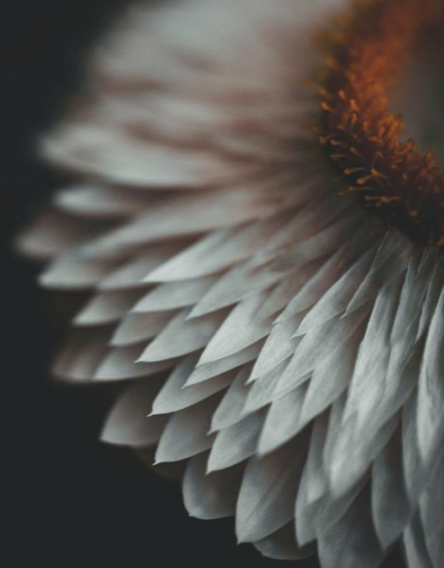 Image 3-2-26 at 9.53 AM.png