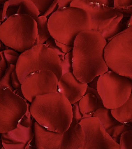 Image 1-27-26 at 11.11 AM (2).png