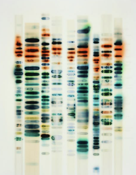 Image 3-2-26 at 9.51 AM (4).png