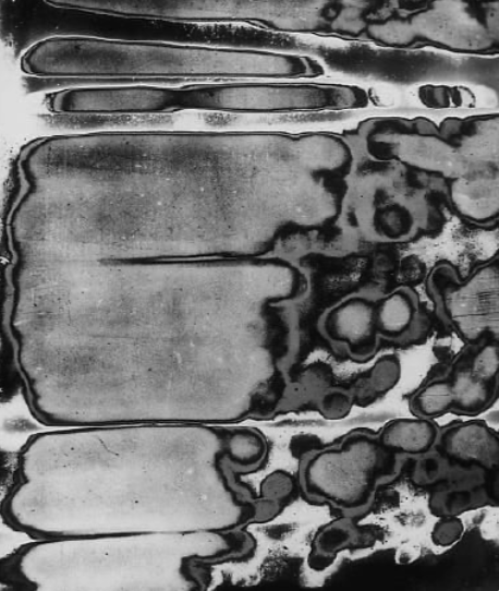 Image 3-2-26 at 9.51 AM (3).png