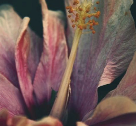 Image 3-2-26 at 9.53 AM (3).png