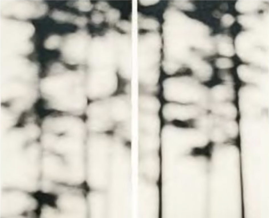 Image 1-27-26 at 11.14 AM.png