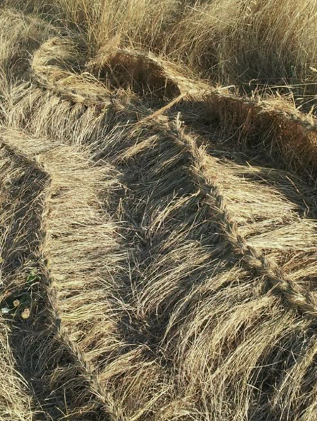 Image 3-2-26 at 9.46 AM.png