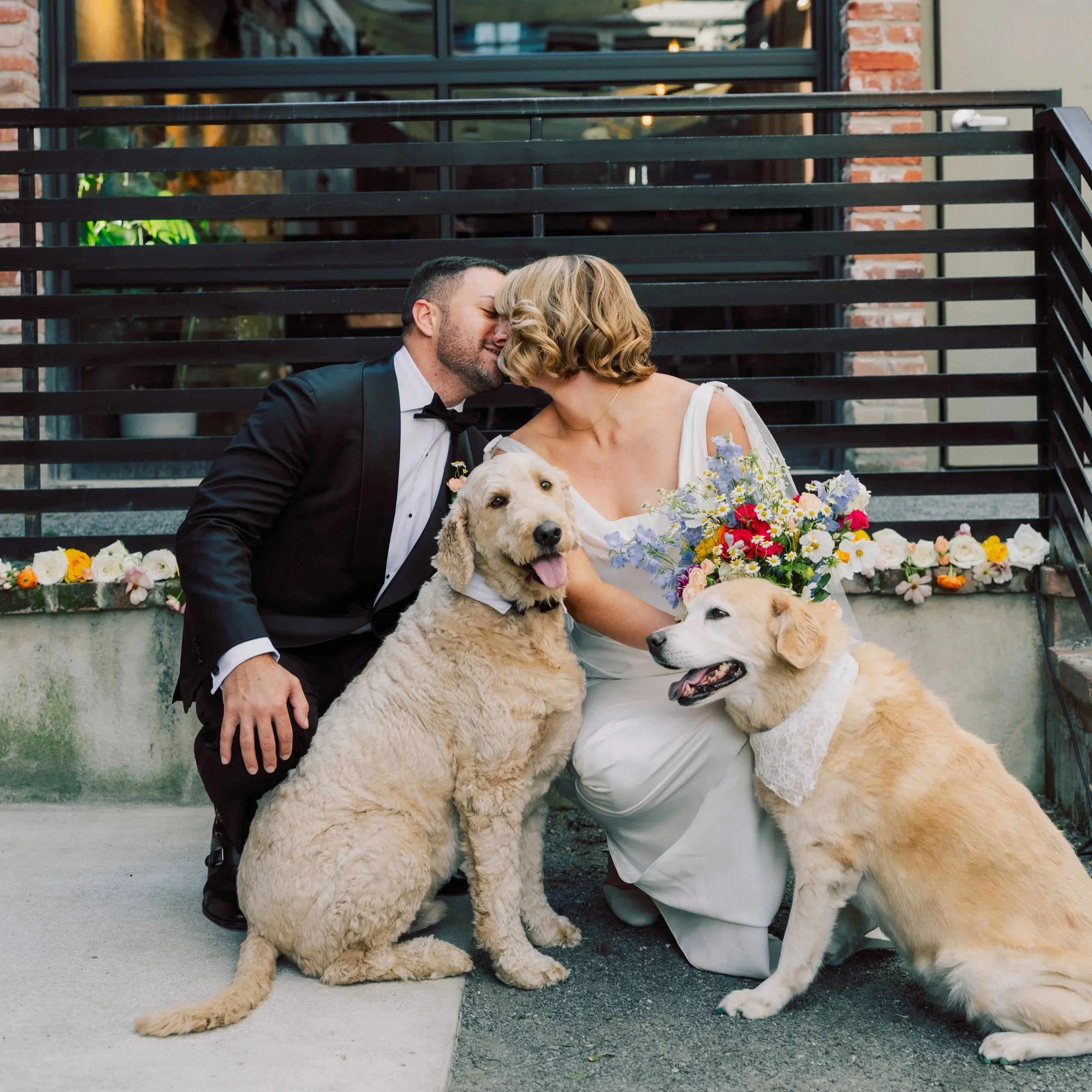 A couple dressed in wedding attire sharing a kiss, with two golden retrievers, one sitting and one lying down, in front of a floral backdrop.