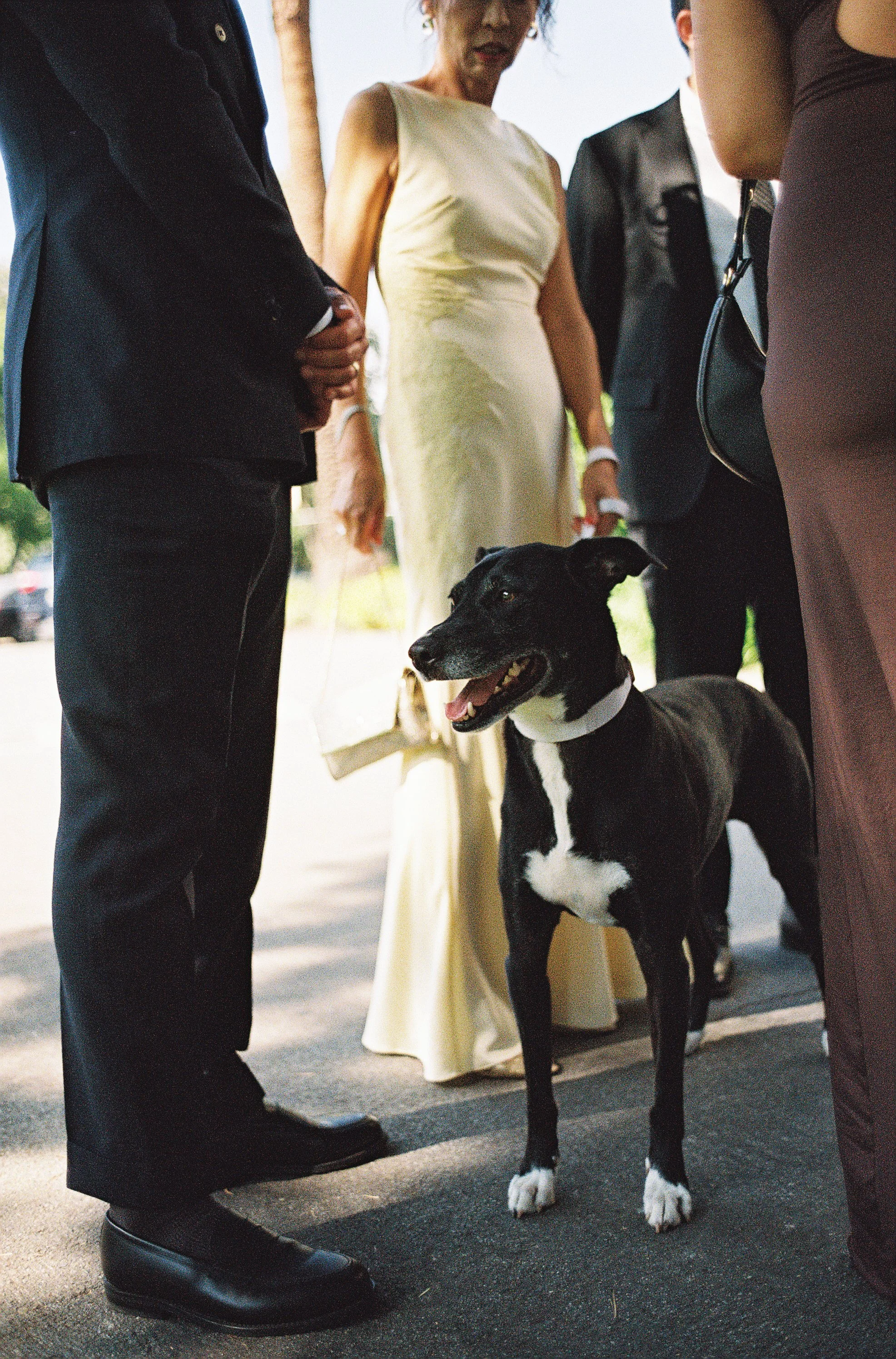 Danielle&Jason_film-50.jpg