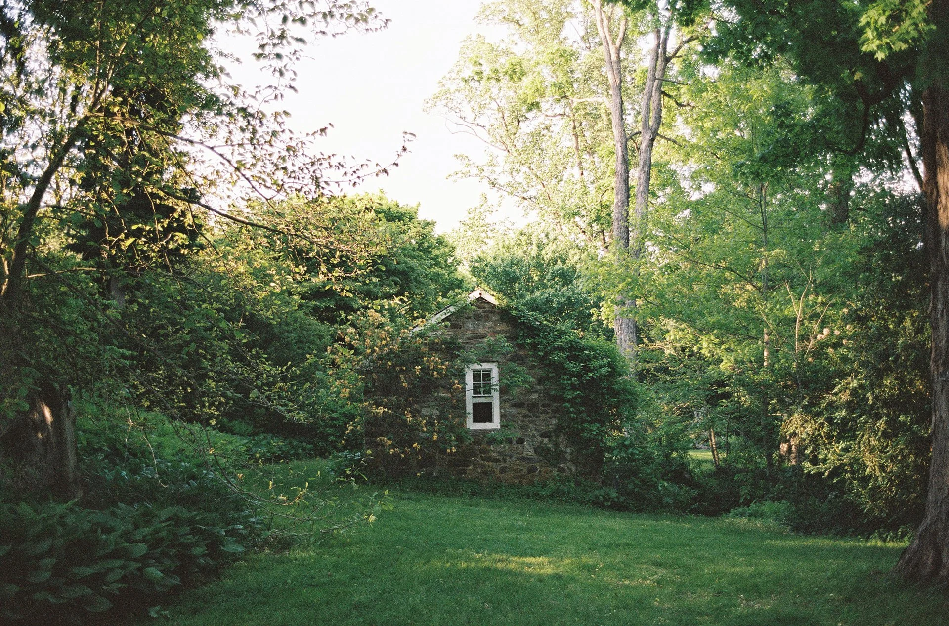 Molly&Jackson_film_0115.jpg