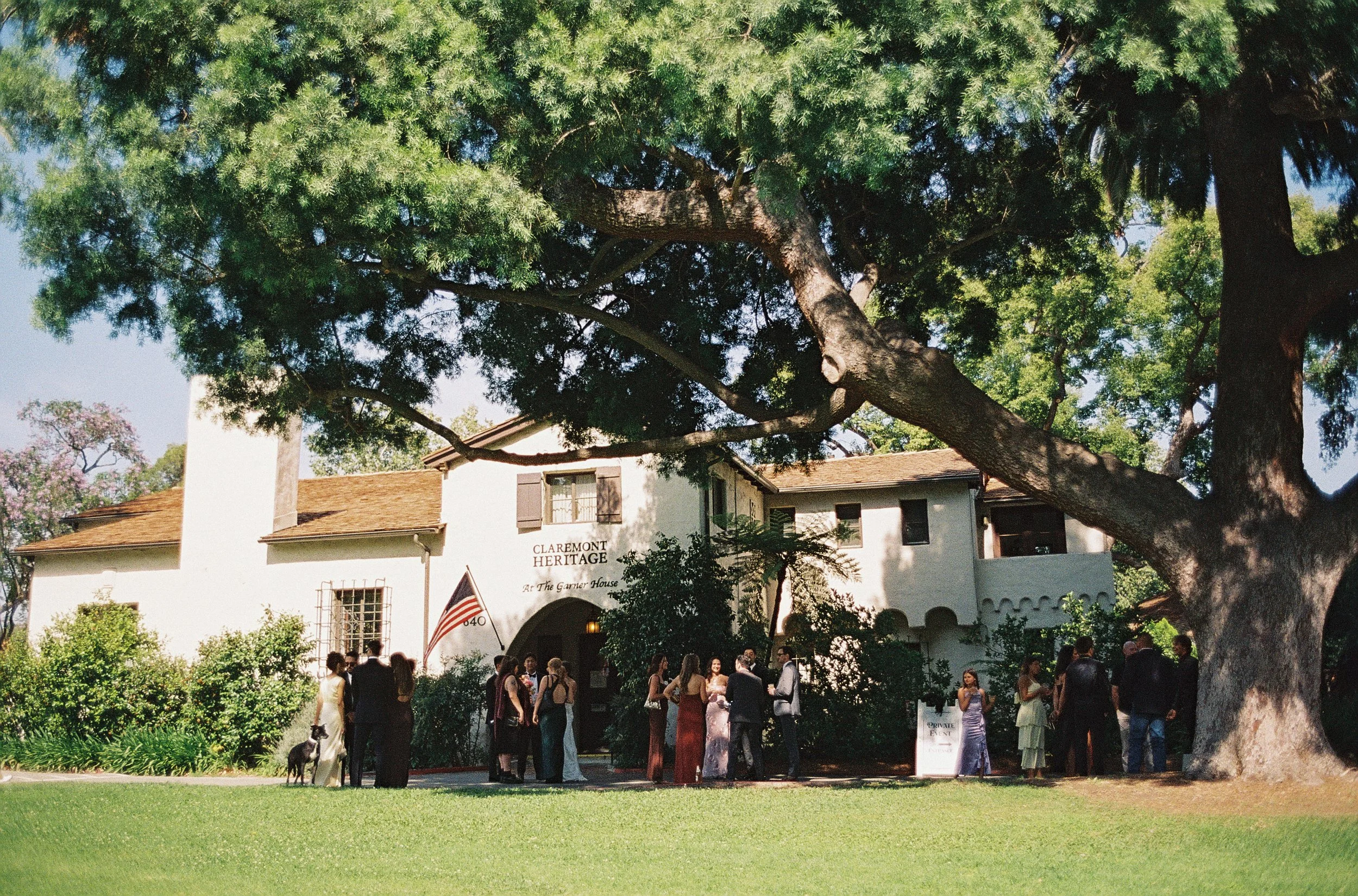 Danielle&Jason_film-47.jpg