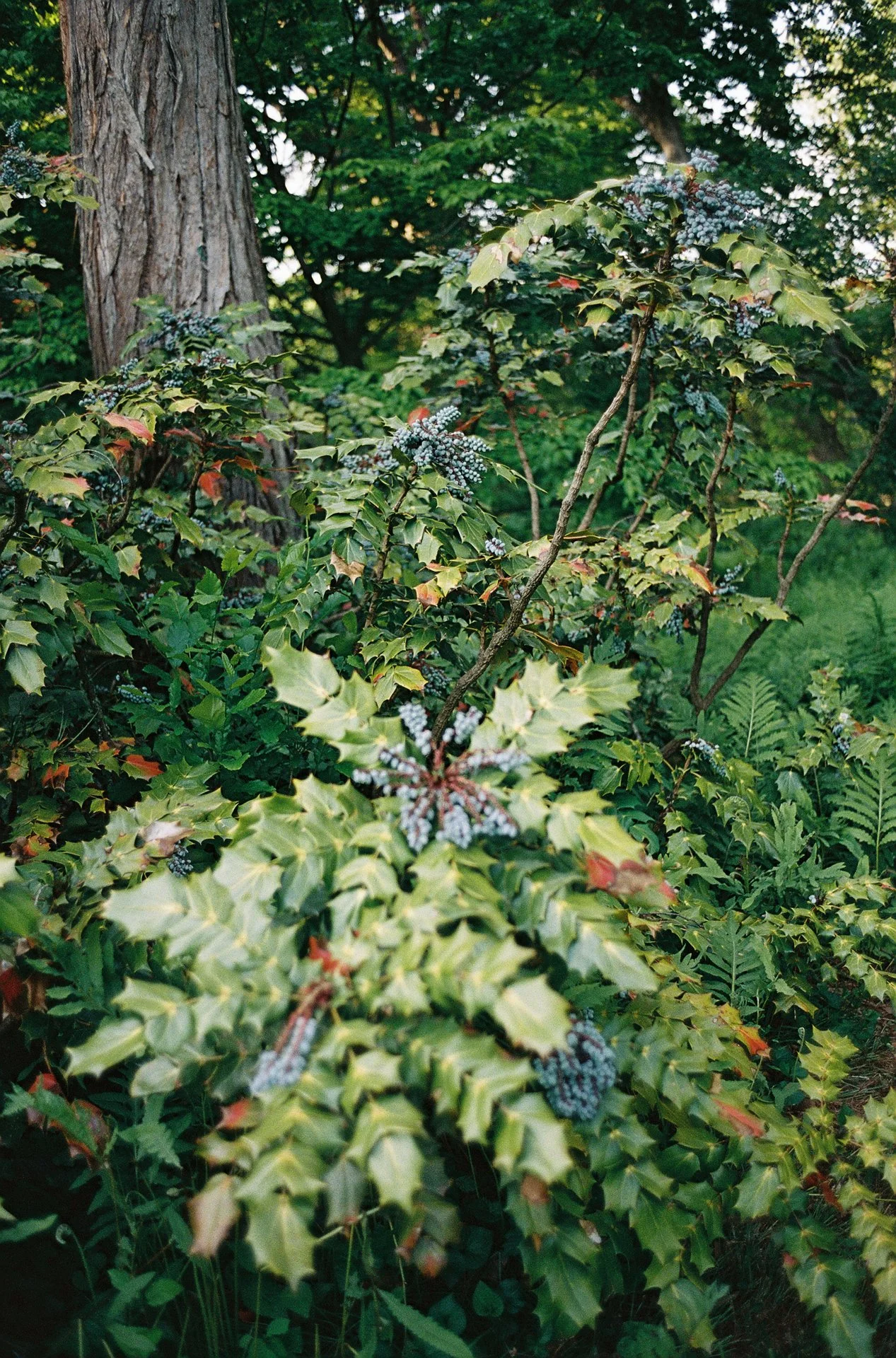 Molly&Jackson_film_0114.jpg