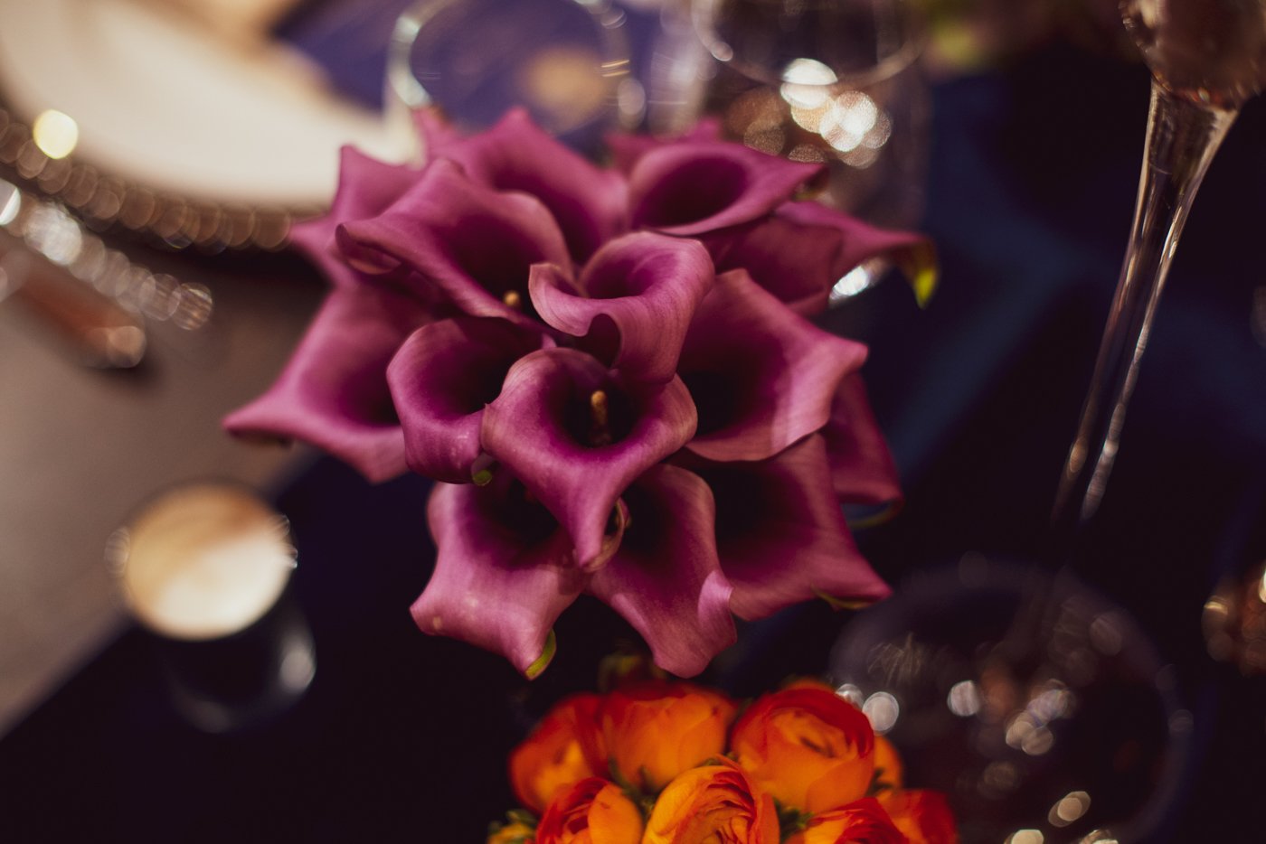 Christchurch Dinners | VIP Experience