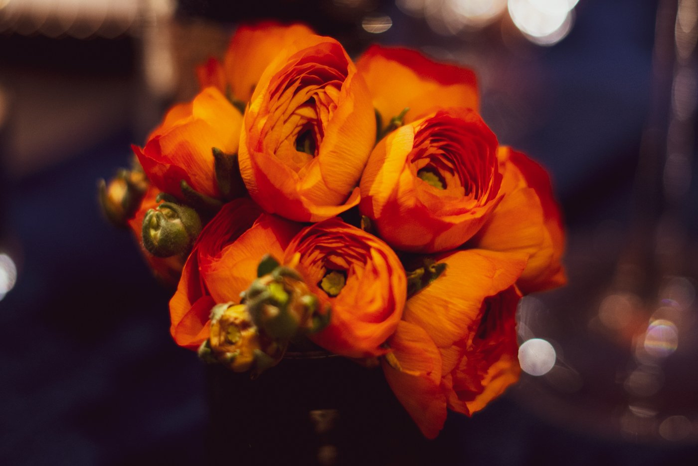 Christchurch Dinners | VIP Experience