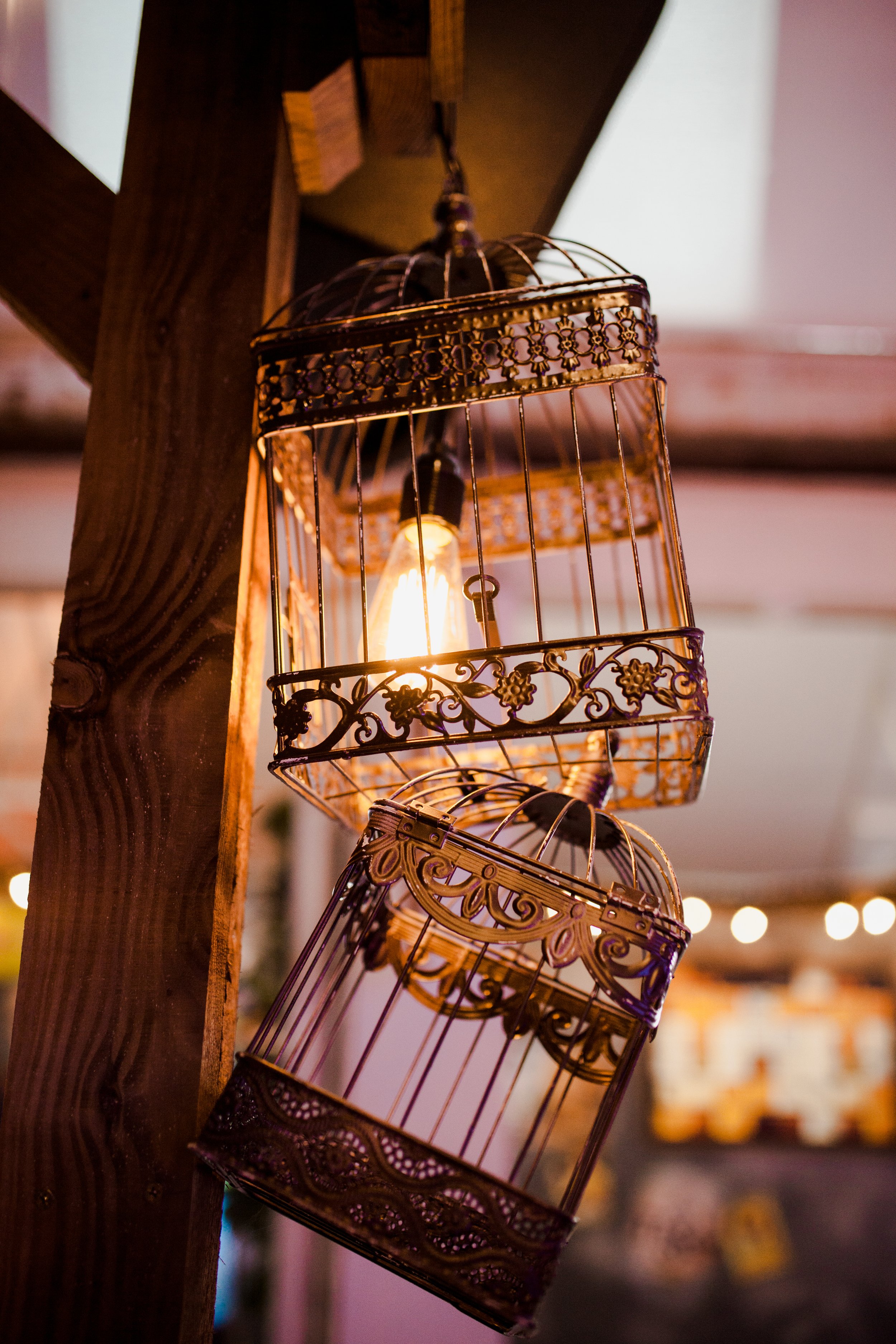 Tiger Streats Food Event | Experiential Design