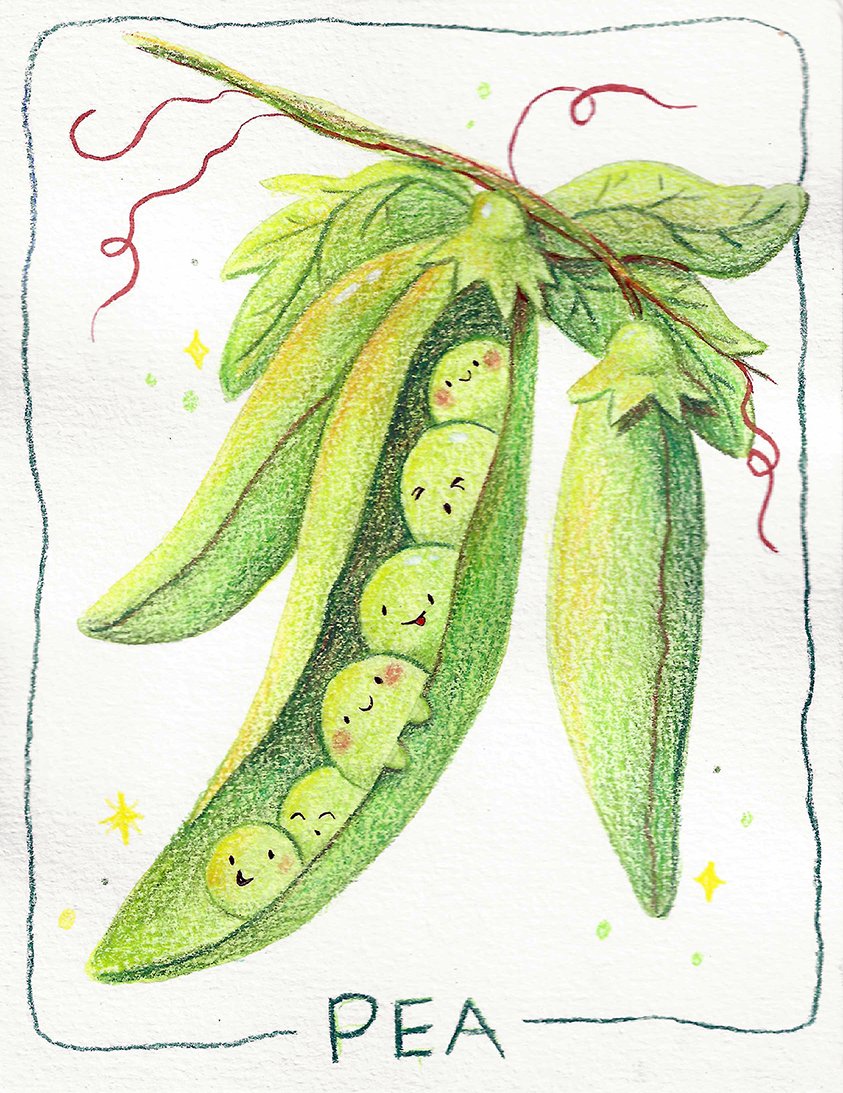 Seed Packets Peas small.jpg