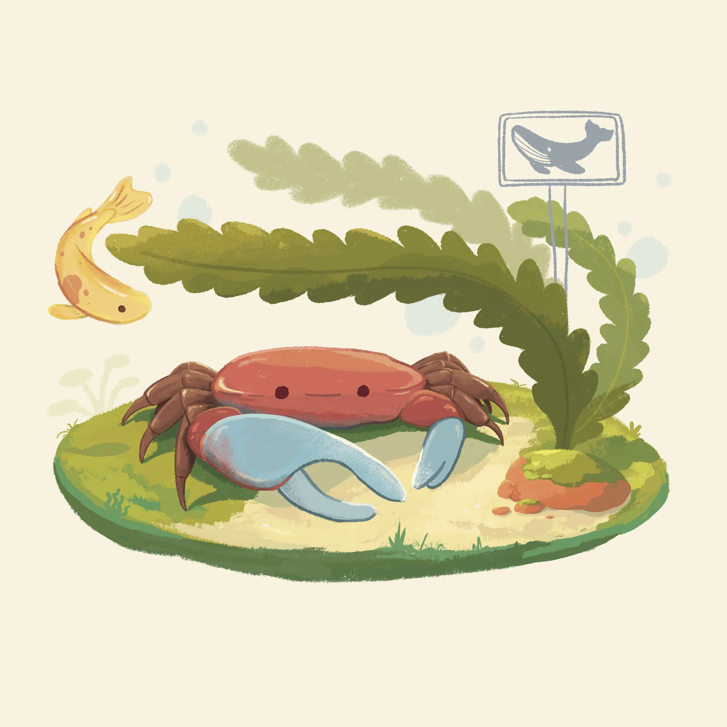 Fiddler_Crab.jpg