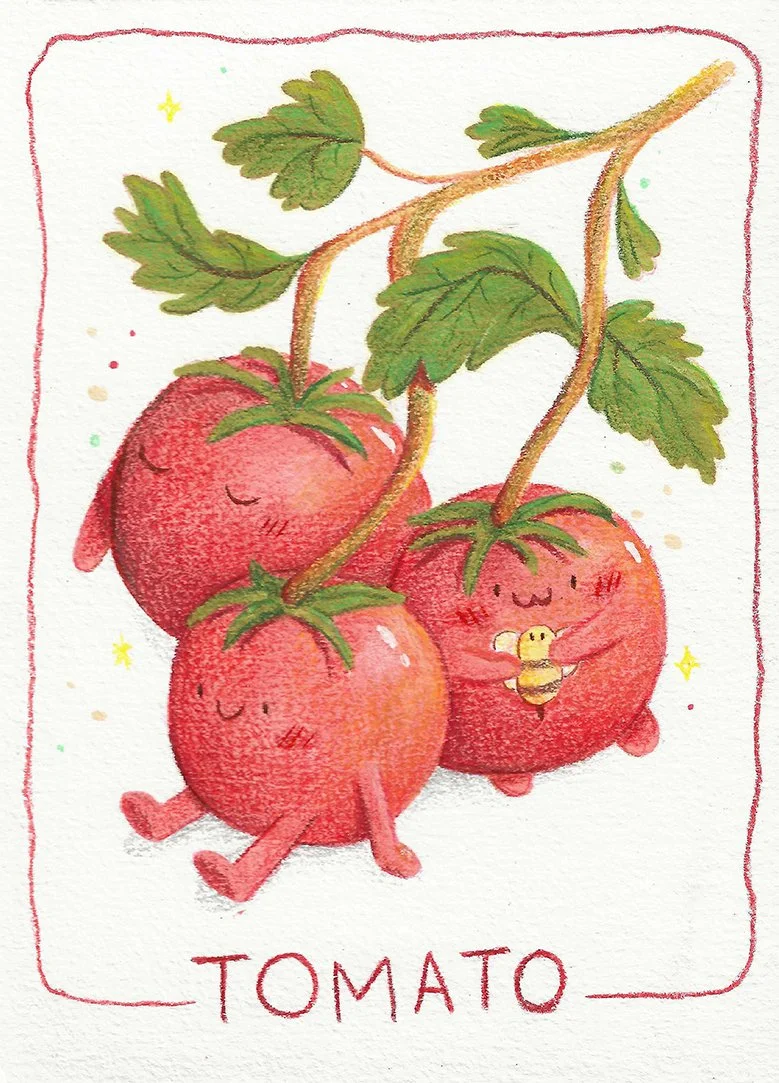Seed Packets tomatoes small.jpg
