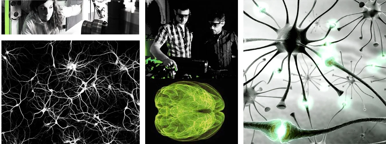 PFT | Plateforme de neuro-imagerie translationnelle multimodalités