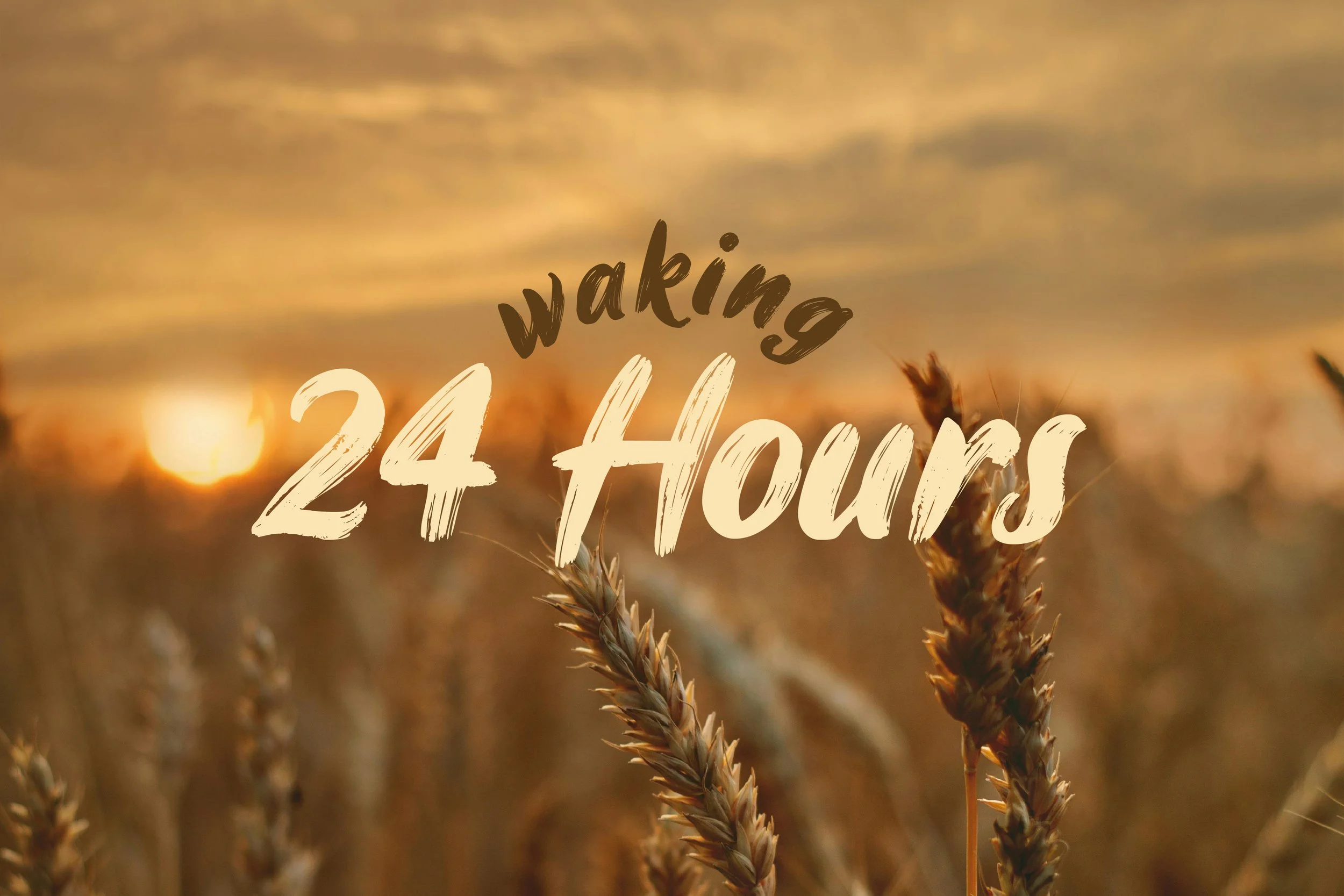 Chapter 1 - Waking: 24 Hours