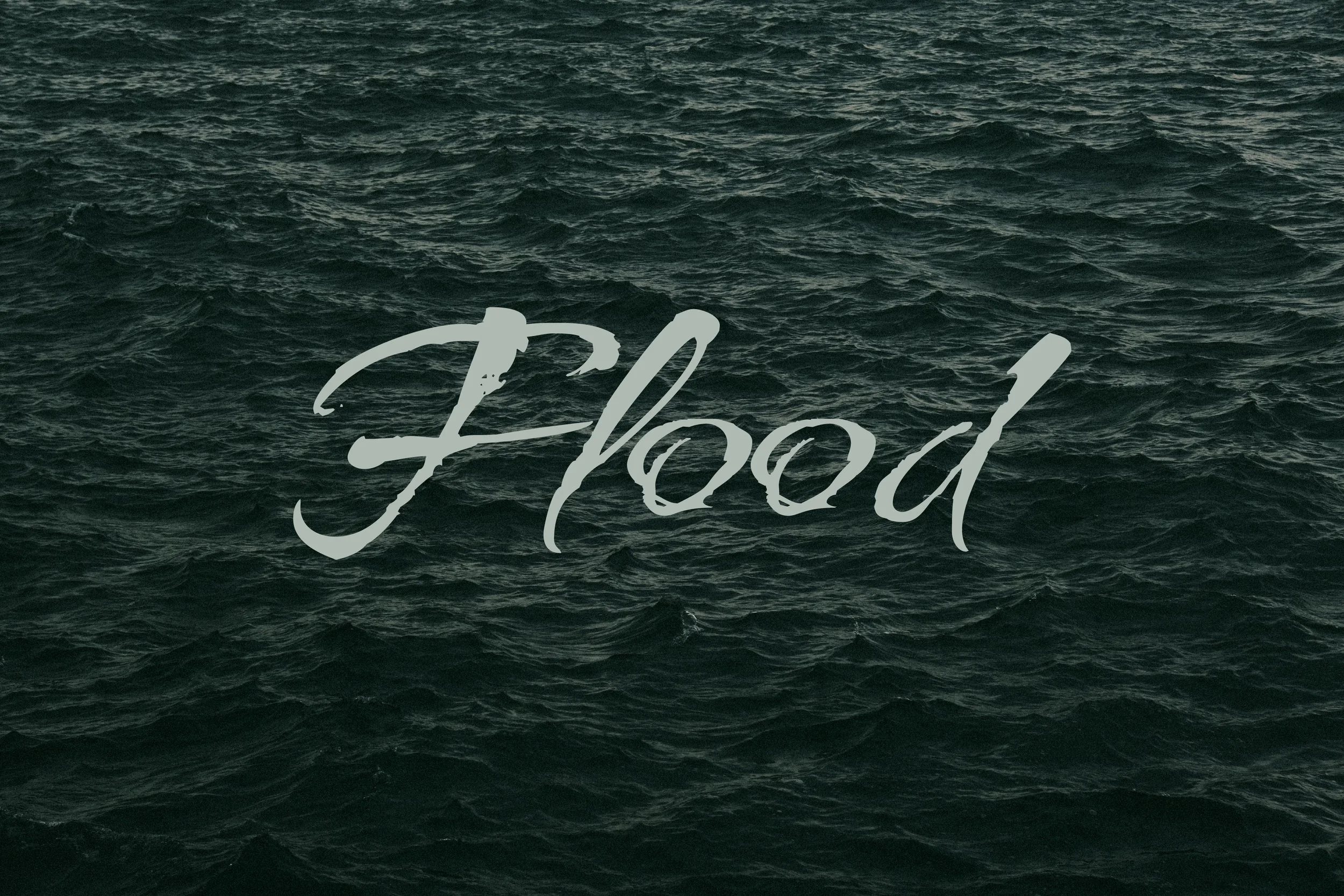 Flood