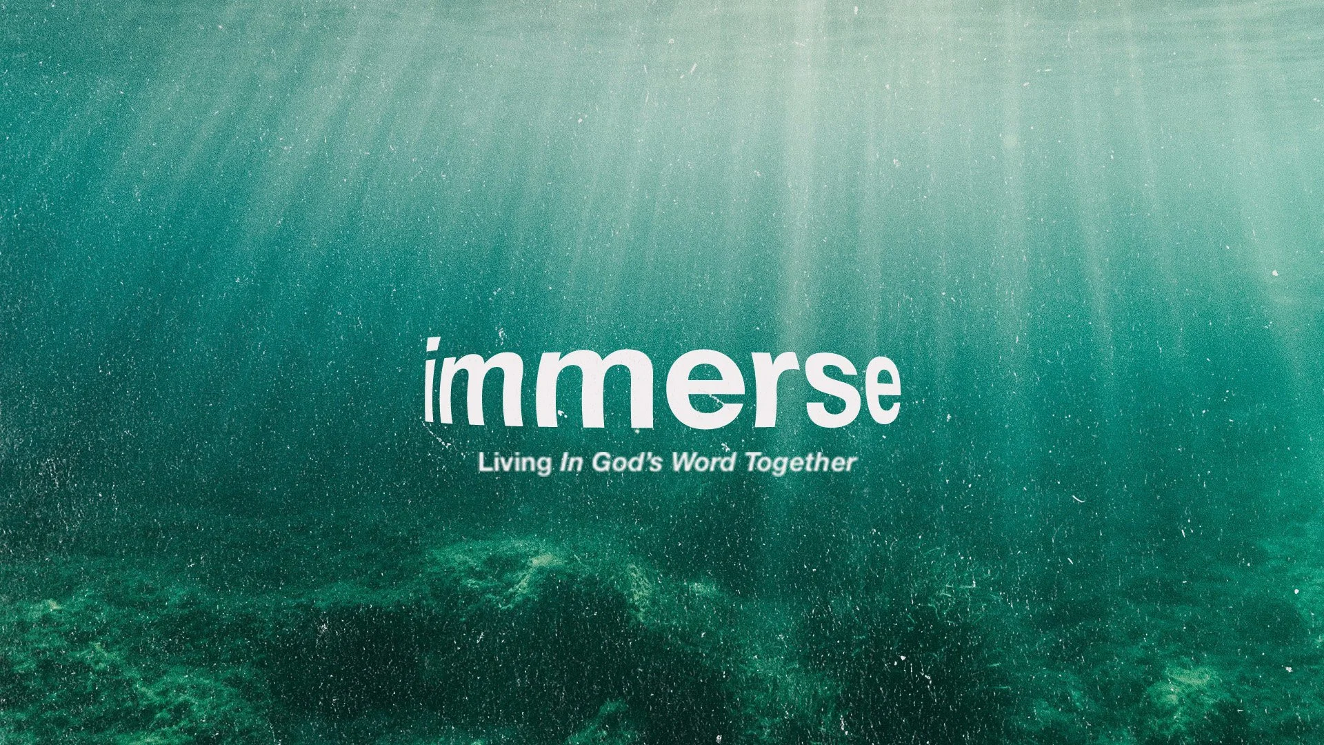 Immerse: Living In God’s Word Together | Mike Popenhagen