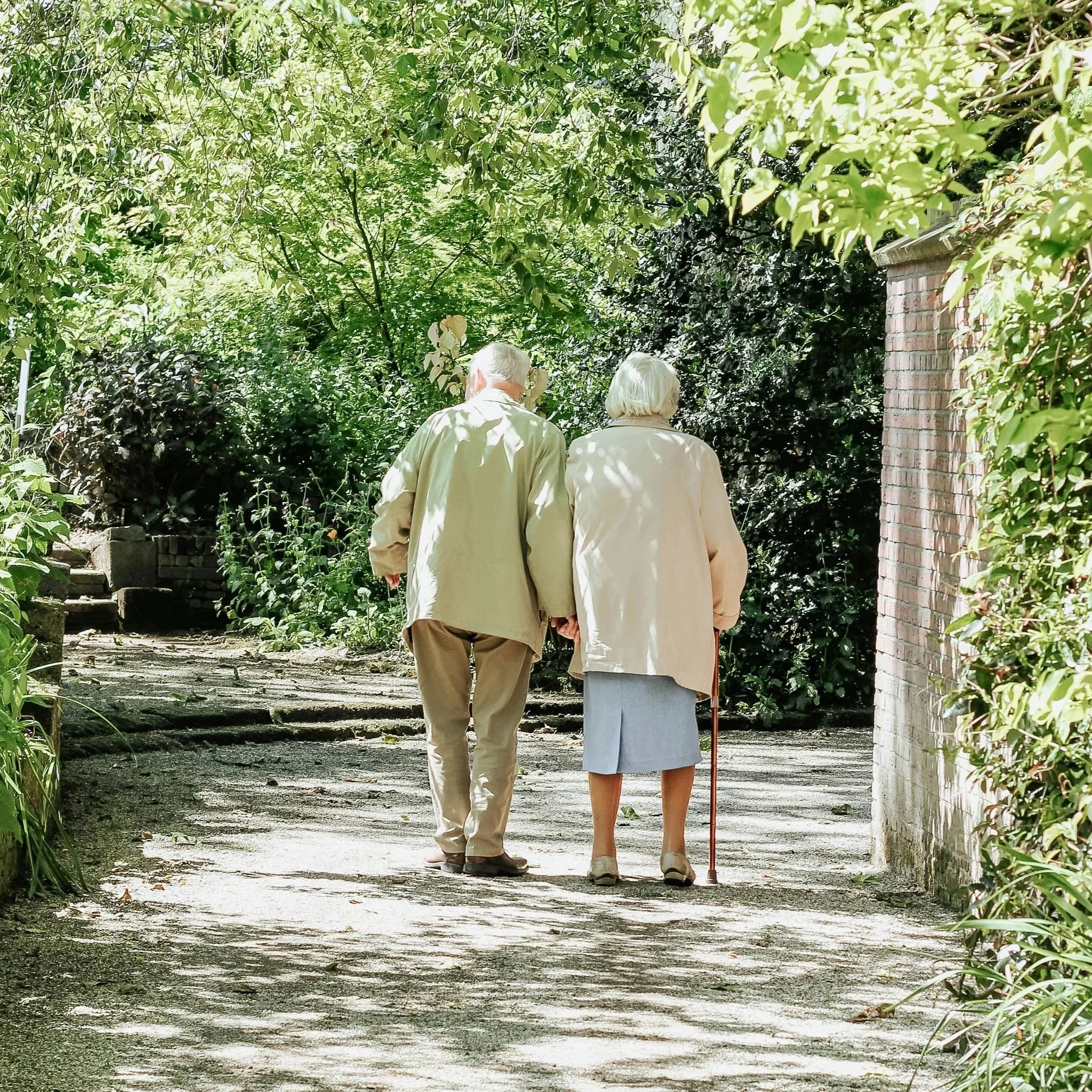 Advancing Care for Seniors Through Strategy