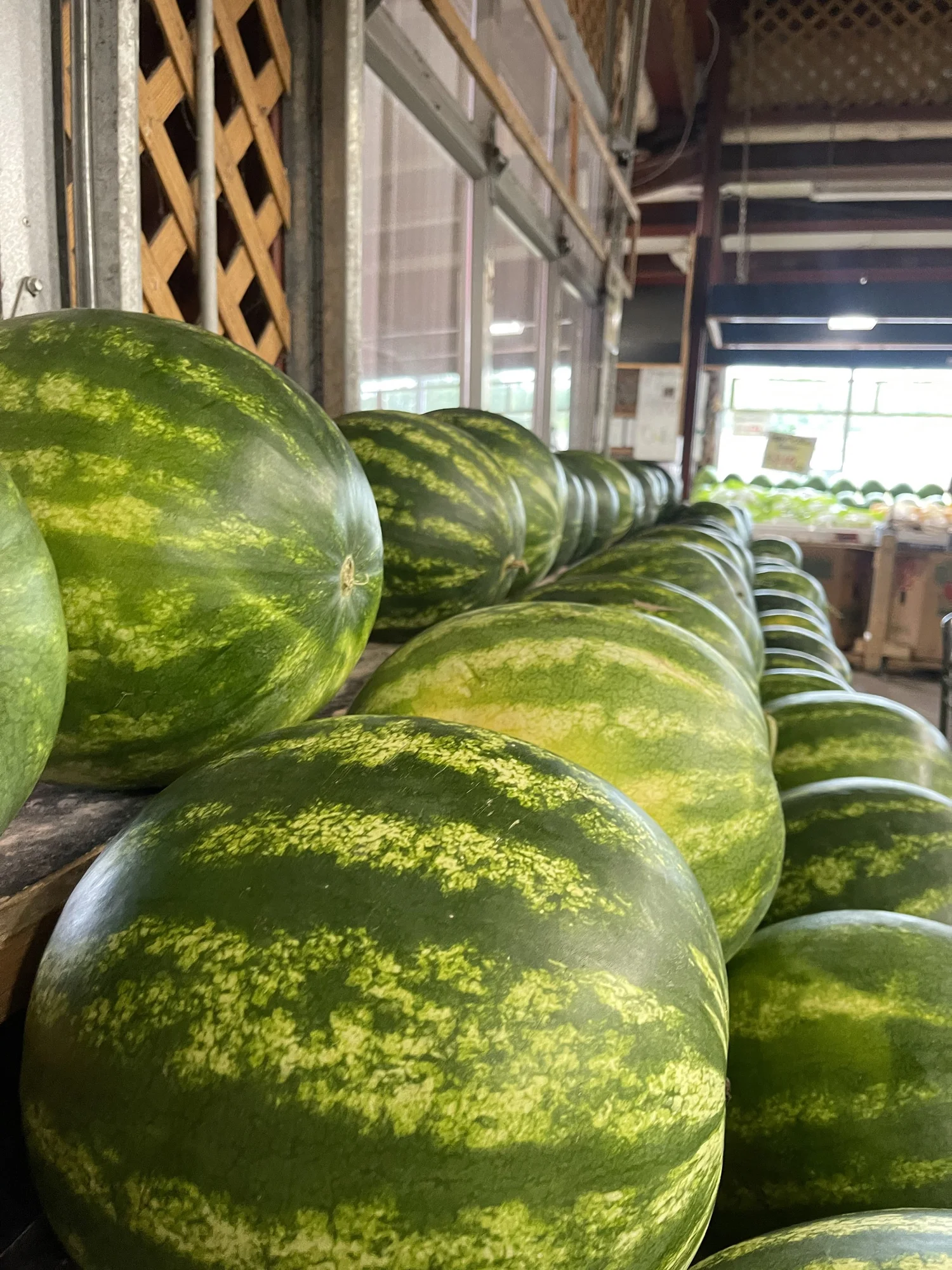 Gallery 1 — Ciolino Fruit & Vegetable Market