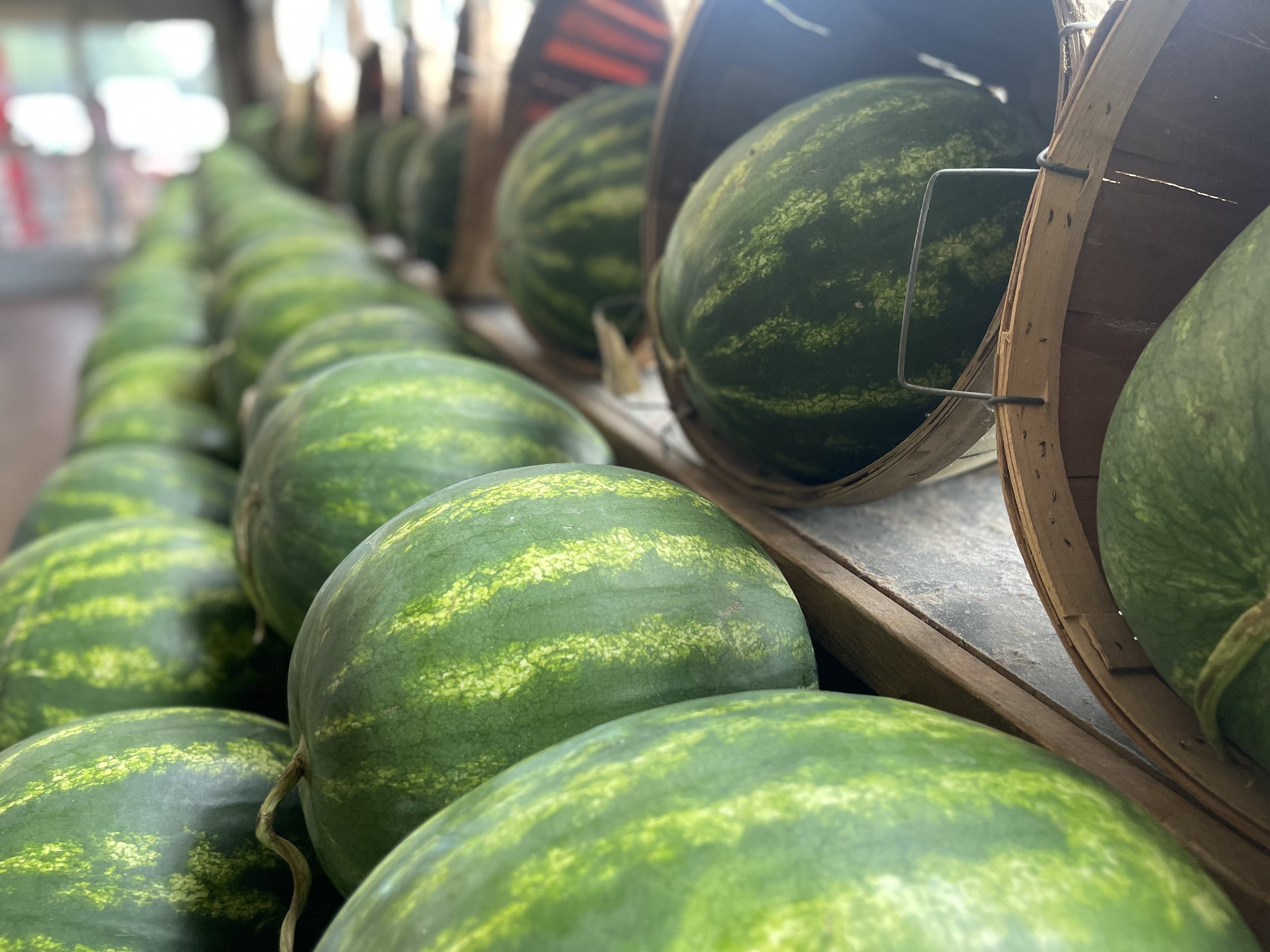 Gallery 1 — Ciolino Fruit & Vegetable Market